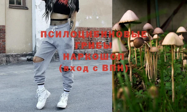 дмт Алзамай