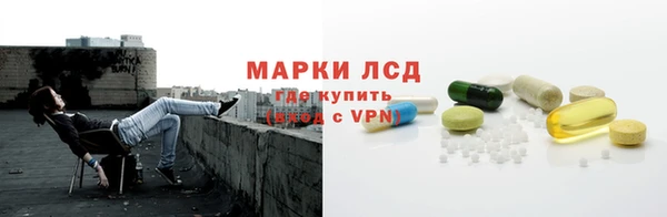 дмт Алзамай