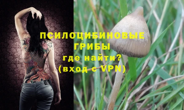 ешки Магадан
