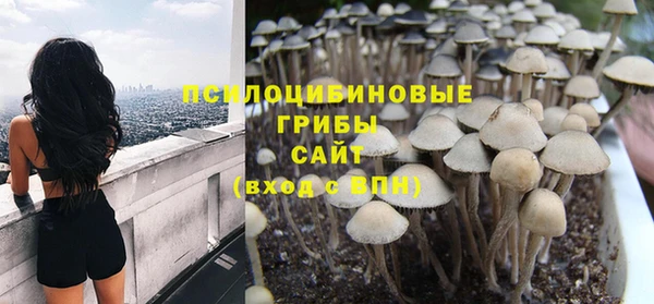 дмт Алзамай