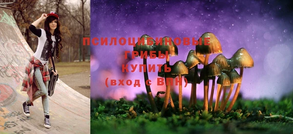 дмт Алзамай
