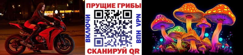 Галлюциногенные грибы Cubensis  Одинцово 