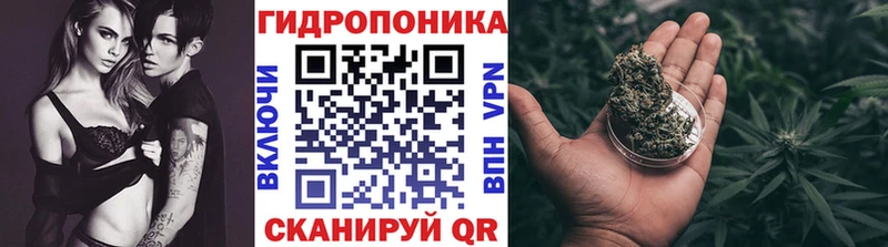 где купить   кракен зеркало  Марихуана семена  Одинцово 