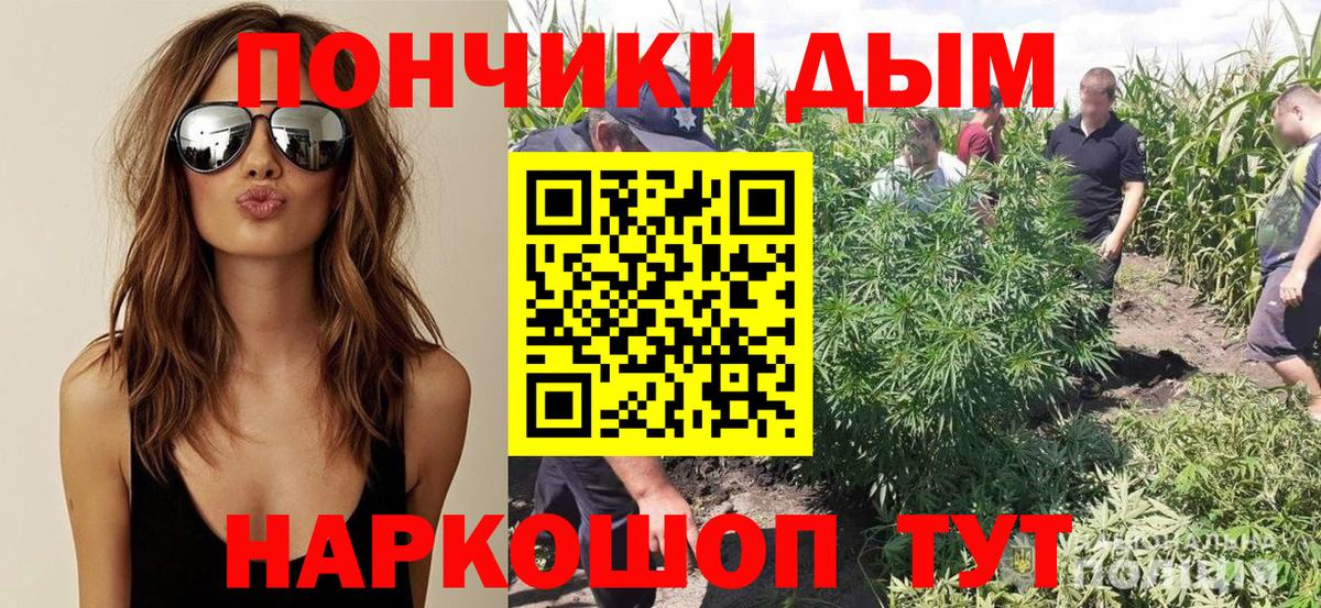Шишки марихуана сатива  Вход с VPN  Бошки марихуана Bruce Banner  Одинцово  Канабис Amnesia 